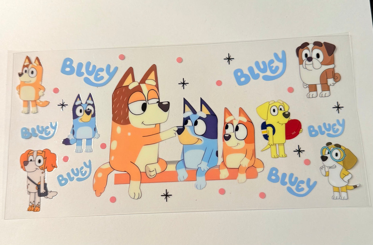 BB01 BLUEY