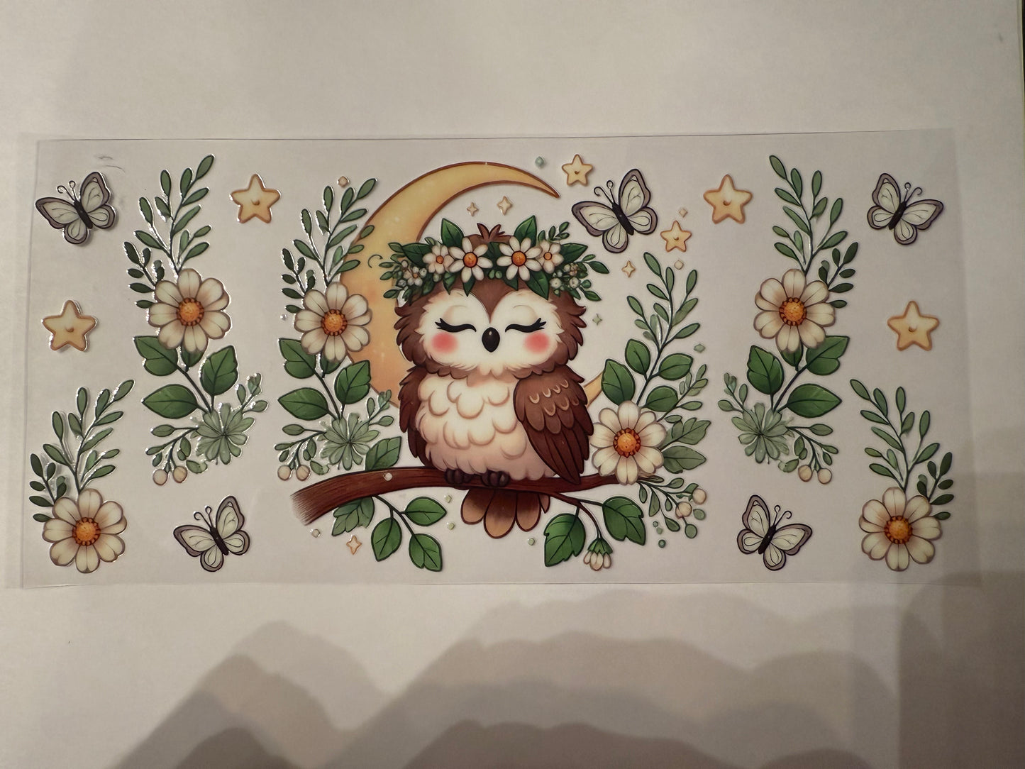 D067 owl butterflies