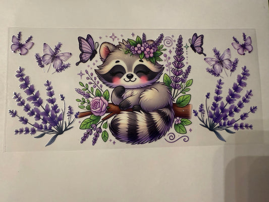 D066 Racoon butterflies