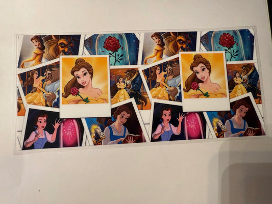 D072 beauty and the beast