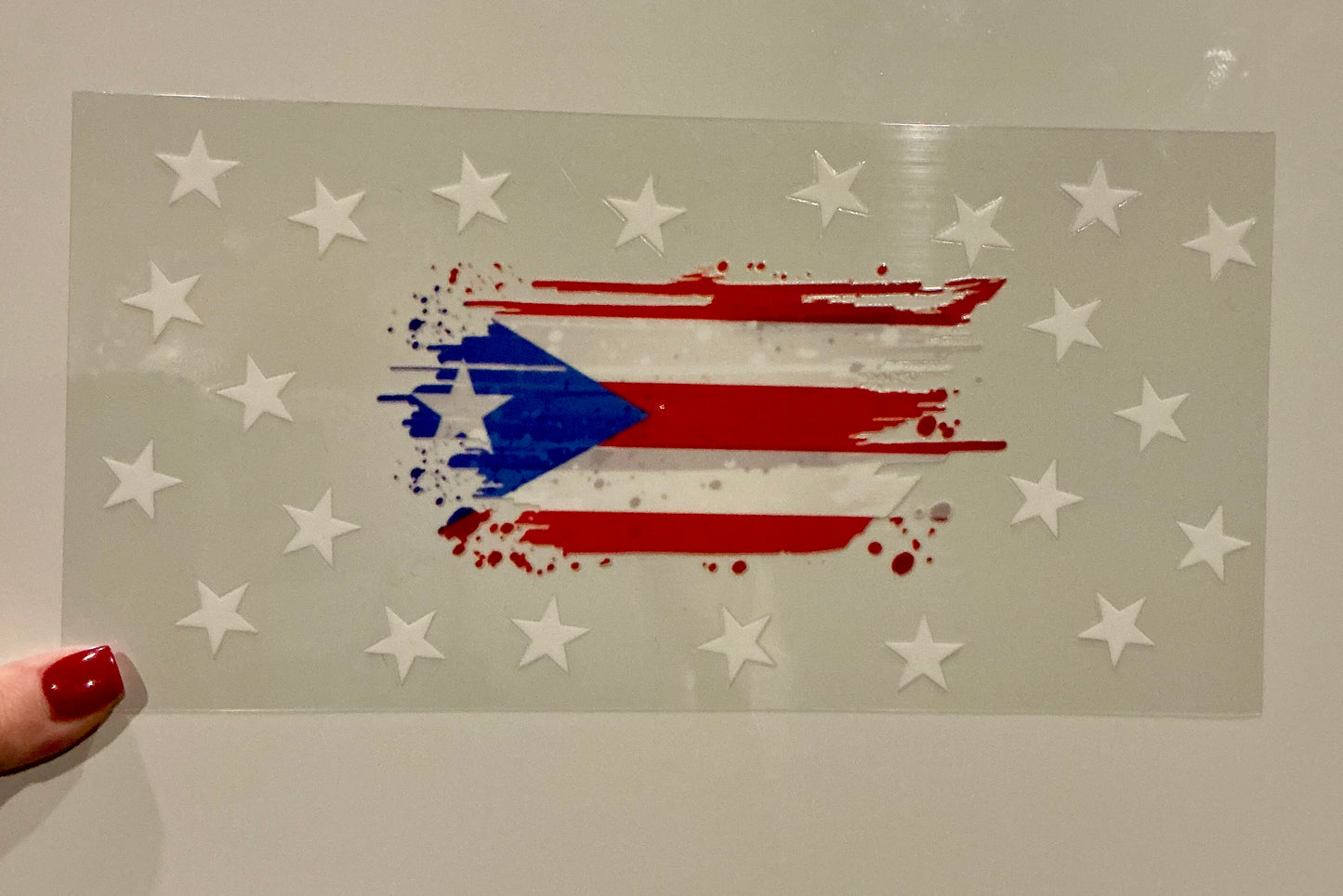 E047. PR FLAG