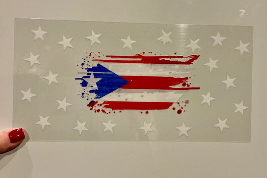E047. PR FLAG