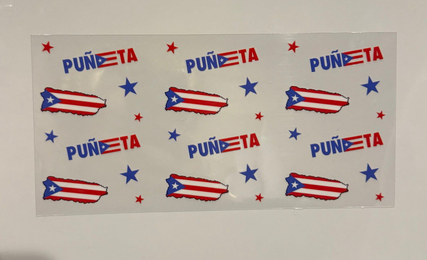 E053 PR PUNETA