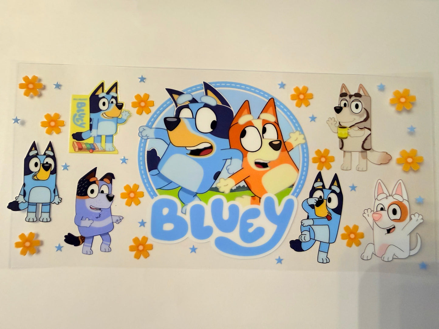 57-BLUEY 2