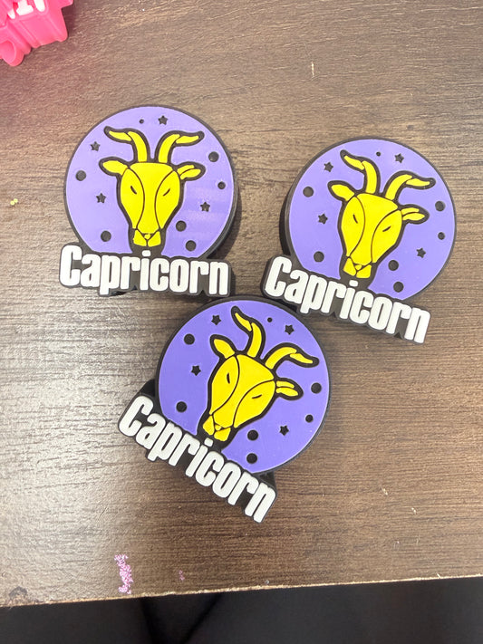 CAPRICORN (1 PC)