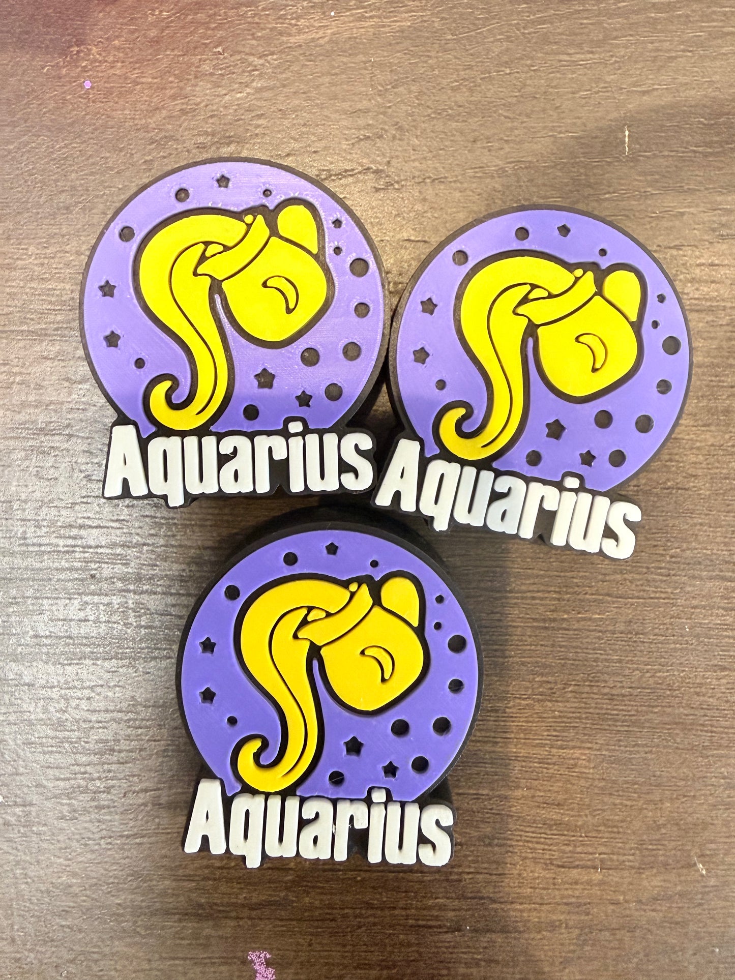 AQUARIUS (1 PC)